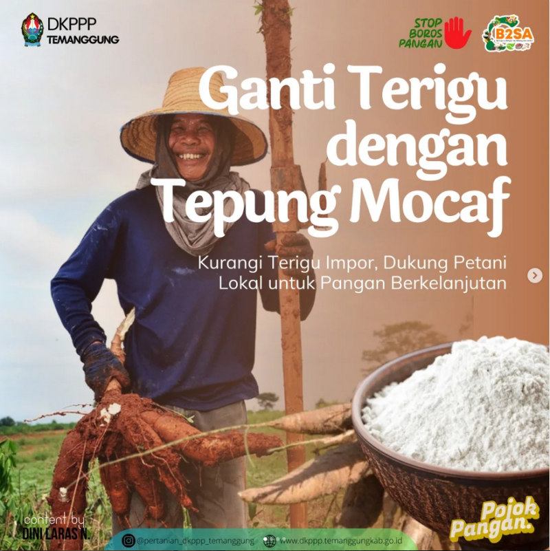 Ganti Tepung Terigu dengan  Tepung Mocaf