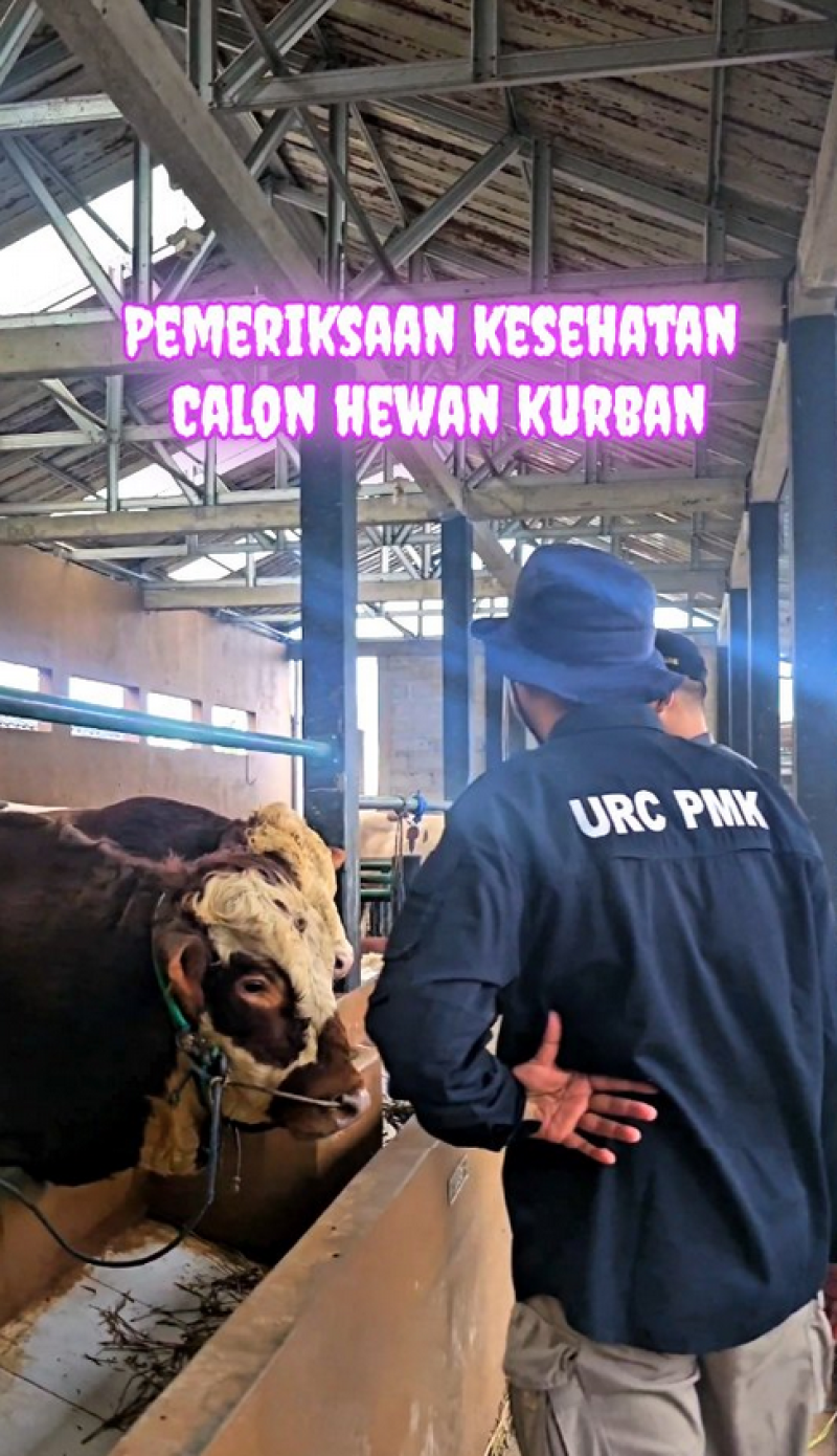 Pemeriksaan Kesehatan Calon Hewan Kurban