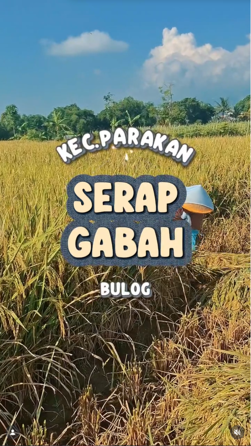 Kegiatan Serap Gabah Petani