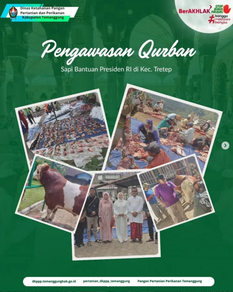 Pengawasan Hewan Qurban Sapi Bantuan Presiden RI