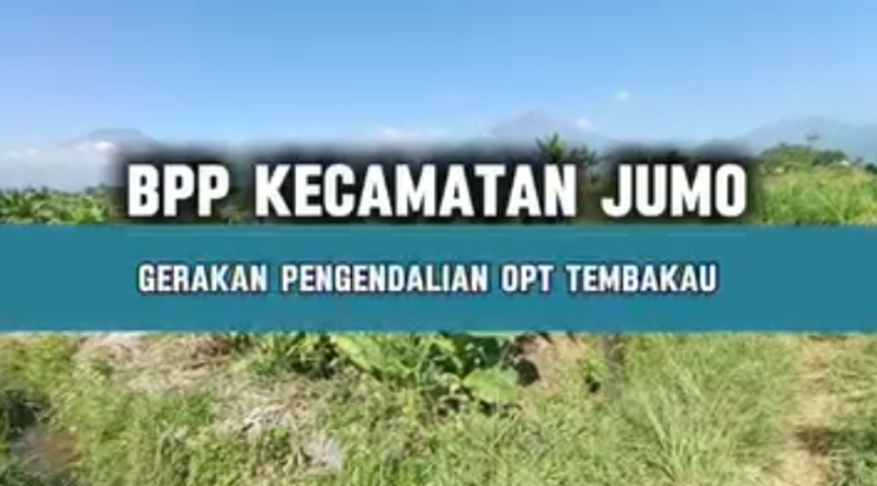 Gerakan Pengendalian OPT Tembakau