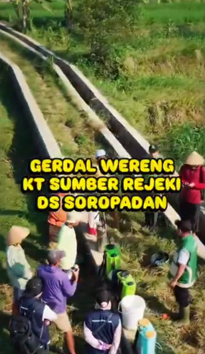 Gerdal Wereng KT Sumber Rejeki Desa Soropadan