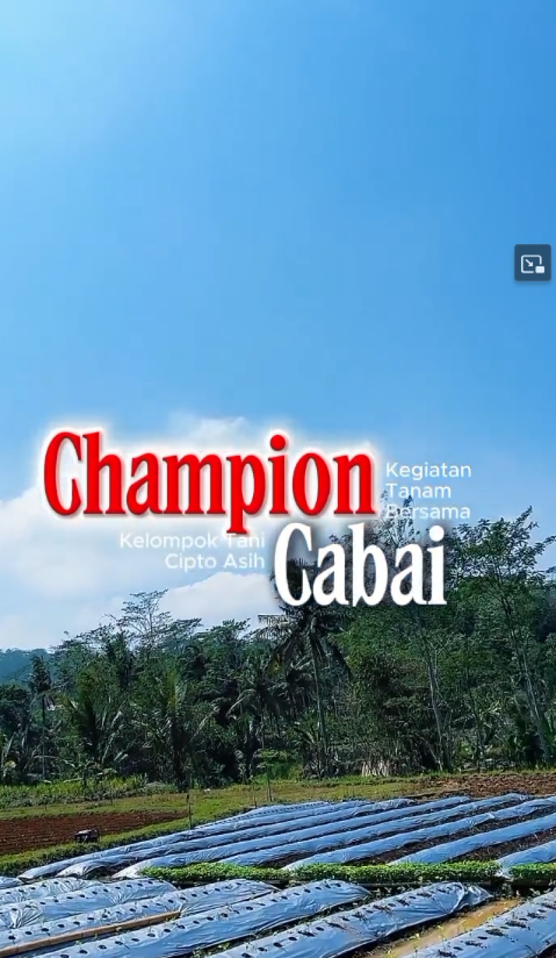 Satu bibit, seribu semangat ?????