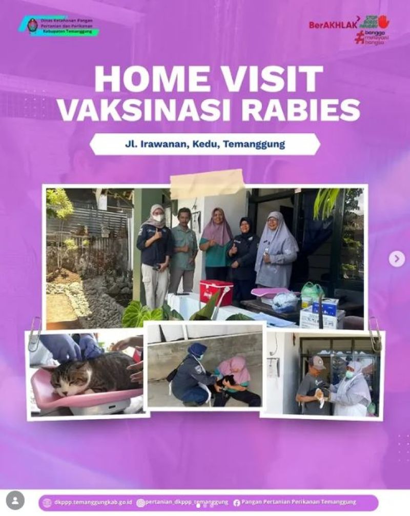 ???? HOME VISIT VAKSINASI RABIES ????